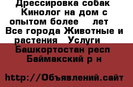 Дрессировка собак (Кинолог на дом с опытом более 10 лет) - Все города Животные и растения » Услуги   . Башкортостан респ.,Баймакский р-н